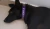 Collar violeta bordado perro - Co