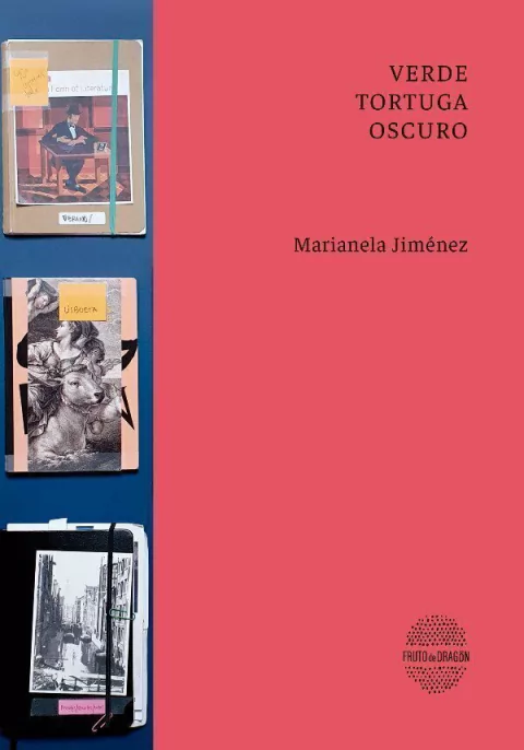 VERDE TORTUGA OSCURO SEGUNDA EDICION - MARIANELA JIMENEZ