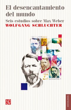 DESENCANTAMIENTO DEL MUNDO SEIS ESTUDIOS SOBRE MAX - SCHLUCHTER WOLFGANG