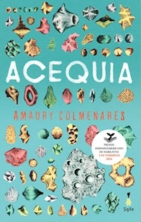 ACEQUIA - AMAURY COLMENARES