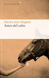 ANTES DEL SALTO - MARTA SAN MIGUEL