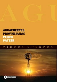 AGUAFUERTES PROVINCIANAS - PEDRO PATZER