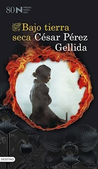 BAJO TIERRA SECA - CESAR PEREZ GELLIDA