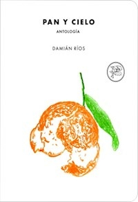 PAN Y CIELO ANTOLOGIA - DAMIAN RIOS