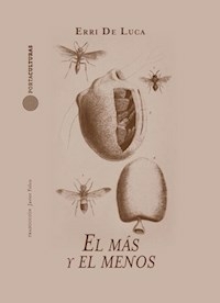 EL MAS Y EL MENOS - ERRI DE LUCA