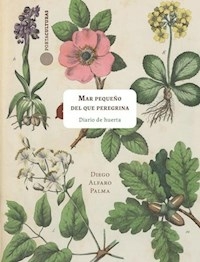 MAR PEQUEÑO DEL QUE PEREGRINA - DIEGO ALFARO PALMA