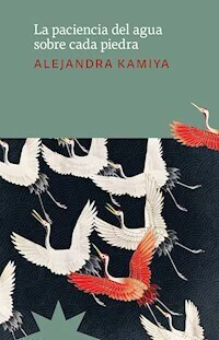 LA PACIENCIA DEL AGUA SOBRE CADA PIEDRA - ALEJANDRA KAMIYA