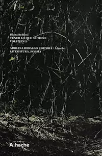 TENER LO QUE SE TIENE VOLUMEN 1 POESIA REUNIDA - Prólogo Jorge Monteleone - DIANA BELLESSI