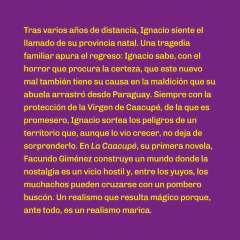 LA CAACUPE - FACUNDO GIMENEZ - comprar online