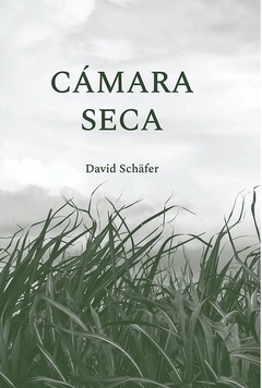 CAMARA SECA - DAVID SCHAFER
