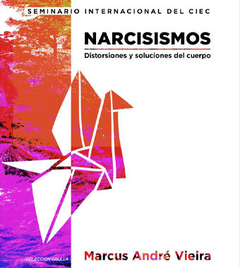 NARCISISMOS DISTORSIONES Y SOLUCIONES DEL CUERPO - MARCUS ANDRE VIEIRA