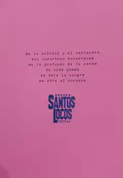 ANTES LA NOCHE NO BRILLABA - INES PURPURA - comprar online