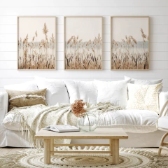 TRÍPTICO HIERBAS CORTADERA x3