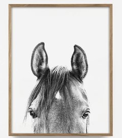 CUADRO MIRADA CABALLO