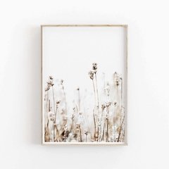 SET FLORES SECAS CLARAS en internet