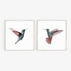 SET COLIBRÍ x2