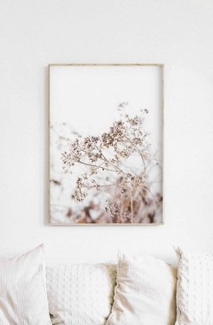 SET FLORES SECAS CLARAS - comprar online