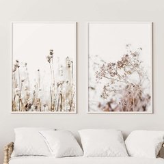 SET FLORES SECAS CLARAS