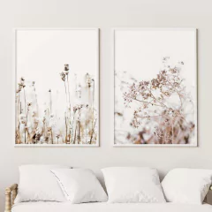 SET FLORES SECAS CLARAS