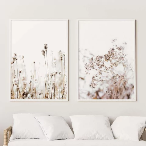 SET FLORES SECAS CLARAS