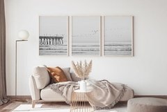 TRÍPTICO MUELLE b&n x3