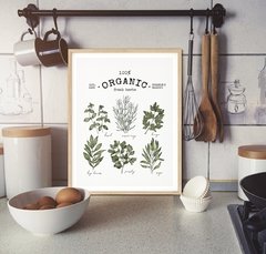 CUADRO ORGANIC