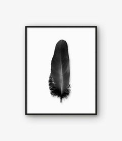 CUADRO PLUMA NEGRA