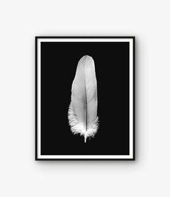 CUADRO PLUMA BLANCA
