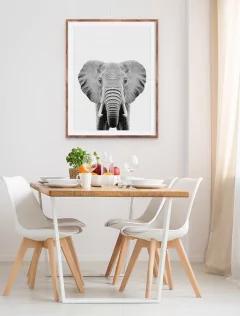CUADRO ELEFANTE