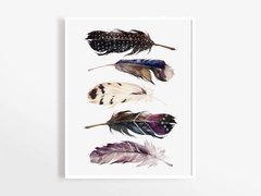 CUADRO PLUMAS VARIADAS