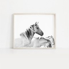 CUADRO CABALLO BLANCO