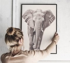 CUADRO ELEFANTE