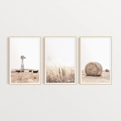 TRÍPTICO CAMPO x3 - comprar online