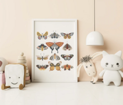 CUADRO MARIPOSA - comprar online