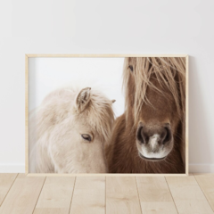 CUADRO CABALLO ABRAZO - comprar online