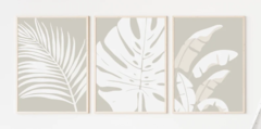 TRÍPTICO PLANTAS NEUTRAS x3 - comprar online