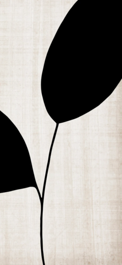 TRÍPTICO FLORAL BLACK LINO x3 - comprar online