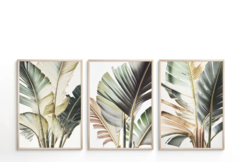 TRÍPTICO PALM BOTANIC x3 - comprar online