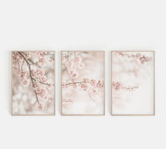 TRIPTICO FLOR CEREZO x3 en internet