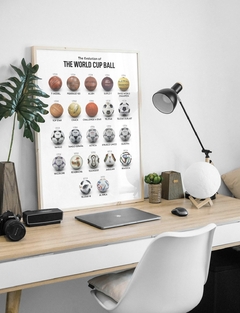 CUADRO EVOLUTION BALL en internet