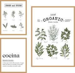 TRÍPTICO COCINA variete x3