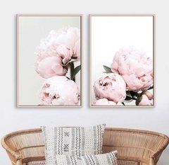 SET PEONIES
