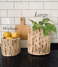 RECIPIENTE CARDON LARGE en internet