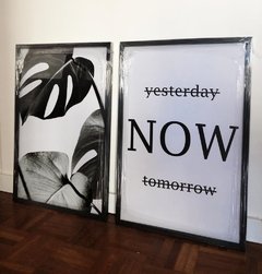 SET MONSTERA Y NOW! B&N