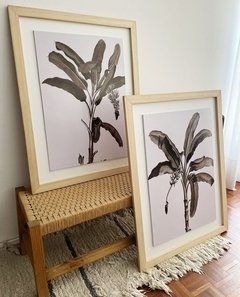 SET PALM SEPIA XL - comprar online