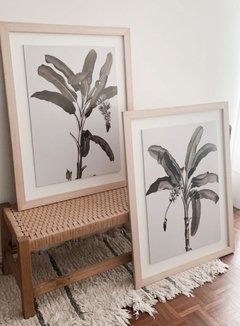 SET PALM SEPIA XL