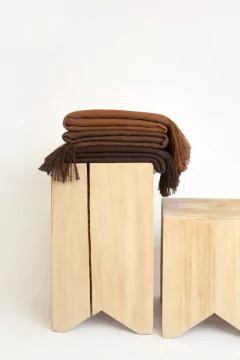 Taco Alamo en internet