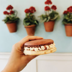 Alfajor Macaron Frambuesa en internet