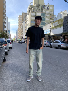 Remera Regular Alaska en internet