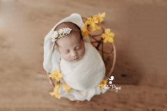 Cadeirinha Vime Roma - buy online